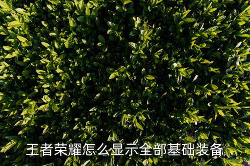 王者荣耀怎么显示全部基础装备