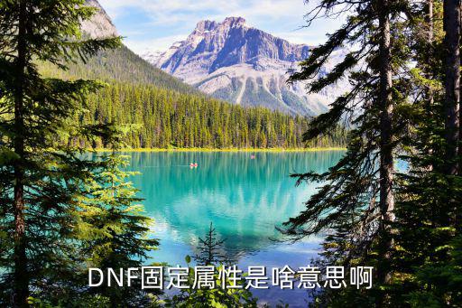 dnf固定伤害算什么属性，DNF固伤职业是什么意思什么是固伤