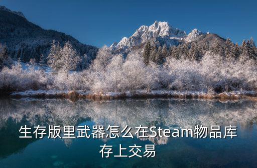 生存版里武器怎么在Steam物品库存上交易