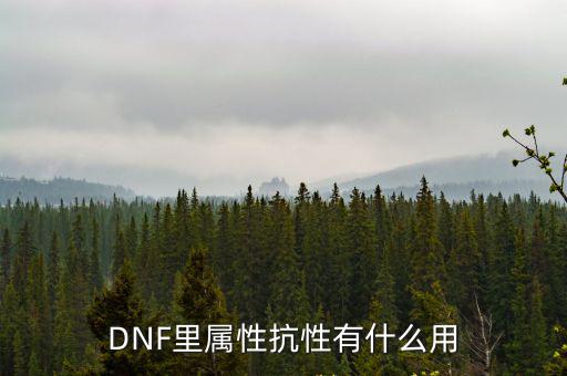 dnf什么属性抗性最有用，dnf什么属性抗性好