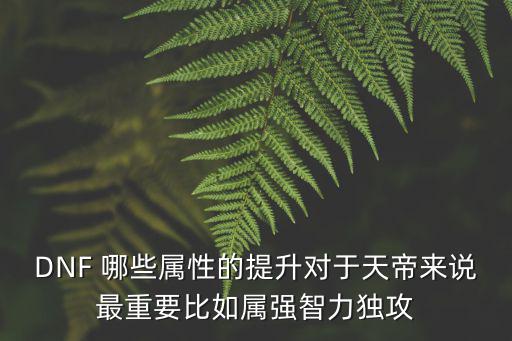dnf有什么提升属性的，地下城与勇士怎么提高属性