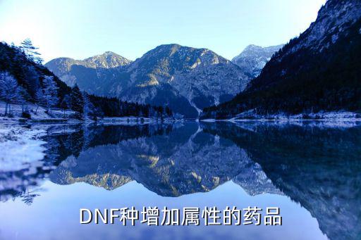 dnf活力秘药什么属性，DNF种增加属性的药品