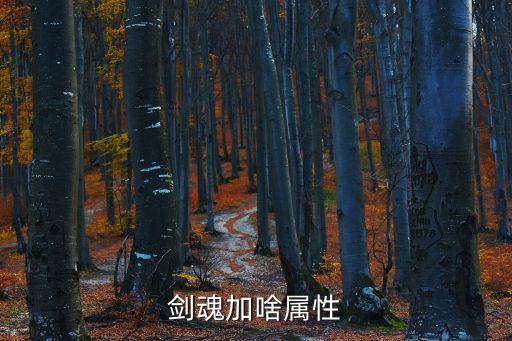 剑魂加啥属性