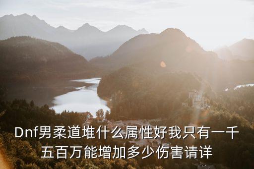 Dnf男柔道堆什么属性好我只有一千五百万能增加多少伤害请详