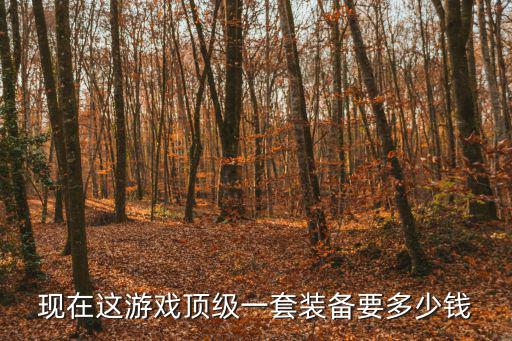 现在这游戏顶级一套装备要多少钱