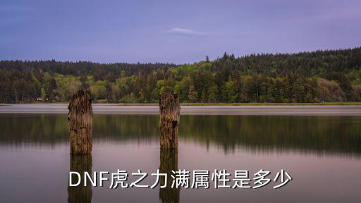 DNF虎之力满属性是多少