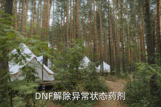 dnf解除异常属性用什么，DNF各种异常抗性恢复药剂指什么