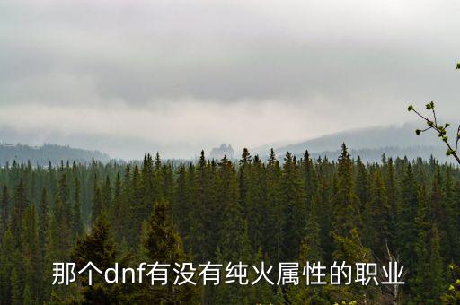 那个dnf有没有纯火属性的职业