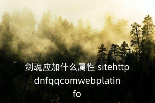 dnf剑皇追求什么属性，剑魂应加什么属性 sitehttpdnfqqcomwebplatinfo