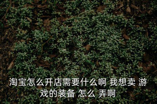 淘宝怎么开店需要什么啊 我想卖 游戏的装备 怎么 弄啊