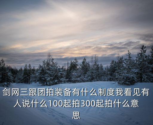 剑网三跟团拍装备有什么制度我看见有人说什么100起拍300起拍什么意思
