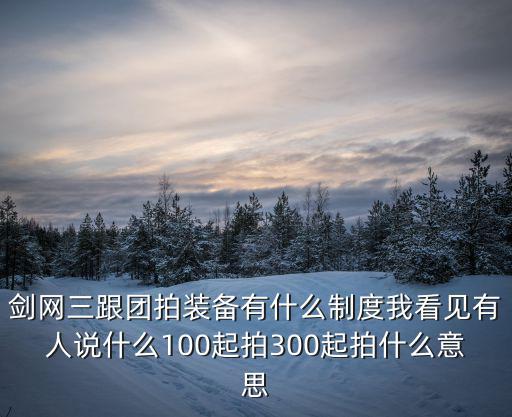 剑网三跟团拍装备有什么制度我看见有人说什么100起拍300起拍什么意思