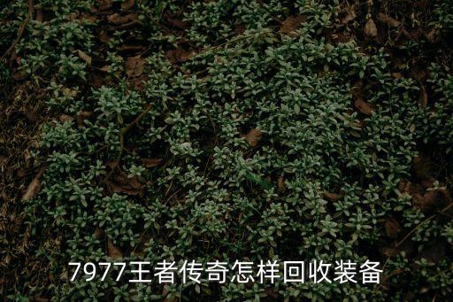 7977王者传奇怎样回收装备