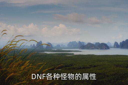 dnf怪物都是什么属性，dnf怪物属性表