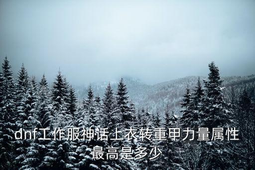 dnf工作服神话上衣转重甲力量属性最高是多少