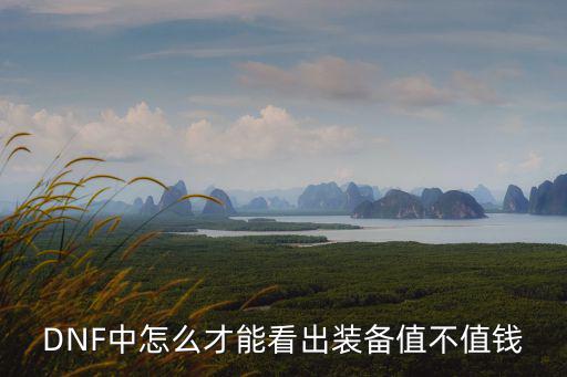 怎么证明游戏装备价值最高，倩女幽魂手游怎样提高装备价格