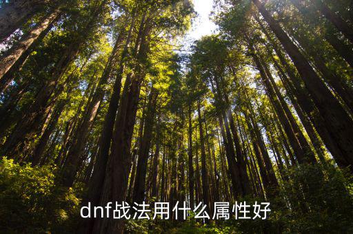 dnf战法用什么属性好