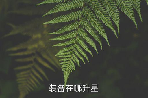 装备在哪升星