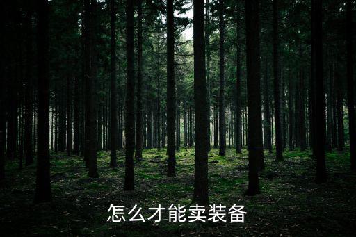 怎么才能卖装备