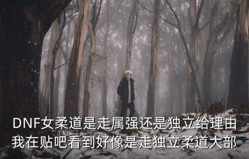 dnf什么属性强化贴吧，dnf毒王为什么要属性强化