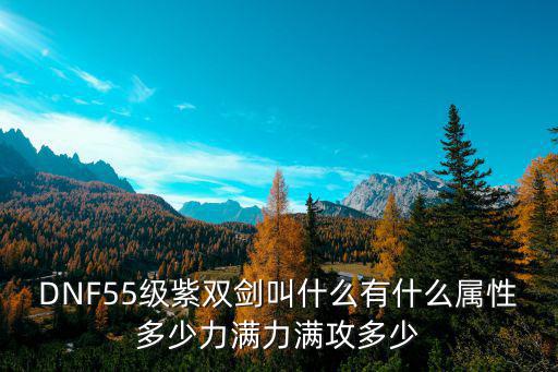 DNF55级紫双剑叫什么有什么属性多少力满力满攻多少