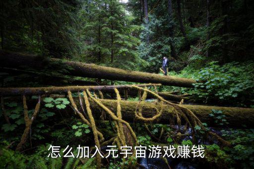 元宇宙游戏装备多少钱，现在这游戏顶级一套装备要多少钱