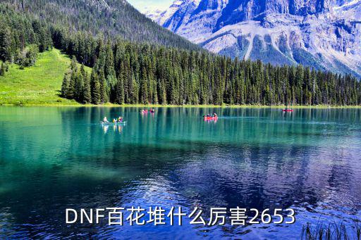 DNF百花堆什么厉害2653