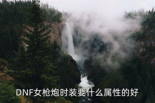 dnf女枪炮选什么属性，DNF女枪炮时装要什么属性的好
