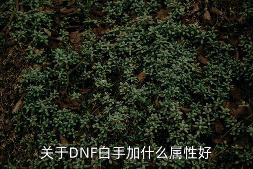 关于DNF白手加什么属性好