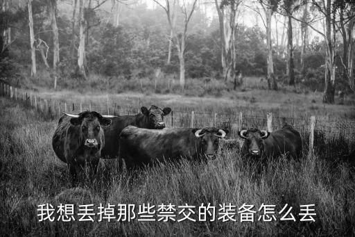 我想丢掉那些禁交的装备怎么丢