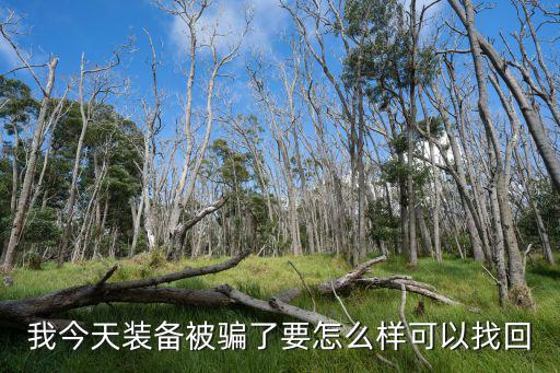 买游戏装备被骗怎么追回，今天玩游戏了 买了装备发现被骗了 还能要回来吗