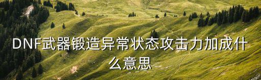 dnf异常状态是什么属性，DNF角色属性异常