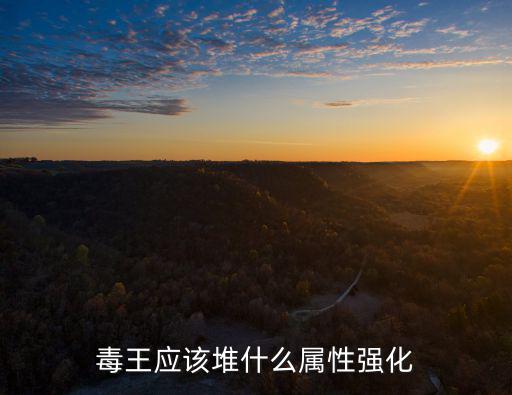 dnf毒王叠什么属性，毒王应该堆什么属性强化