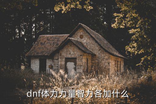 dnf一百体力加什么属性，DNF里体力和精神是加什么属性的