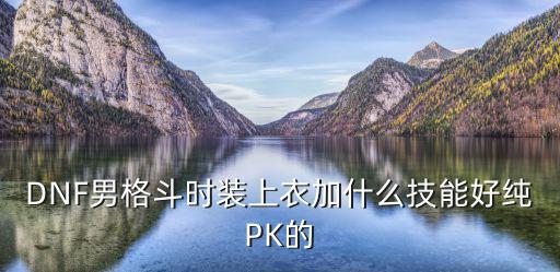 DNF男格斗时装上衣加什么技能好纯PK的
