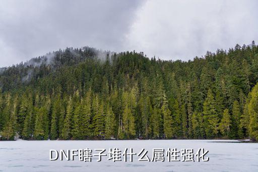 dnf瞎子是堆什么属性，瞎子刷图该堆什么属性