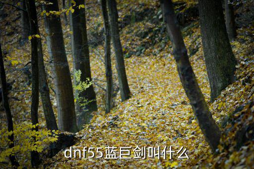 dnf全属性55叫什么，dnf55蓝巨剑叫什么