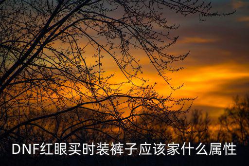 DNF红眼买时装裤子应该家什么属性