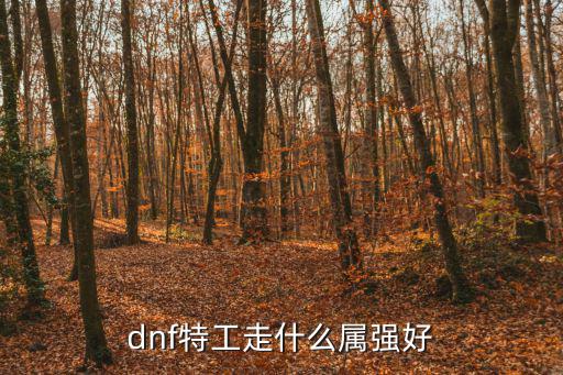 dnf特工宝珠打什么属性，dnf特工走什么属强好