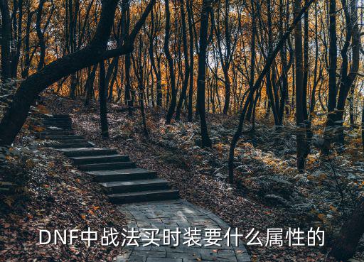 dnf战法需要什么属性，DNF战法堆什么属性