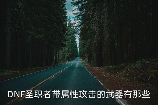 DNF圣职者带属性攻击的武器有那些