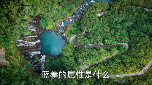 蓝拳的属性是什么