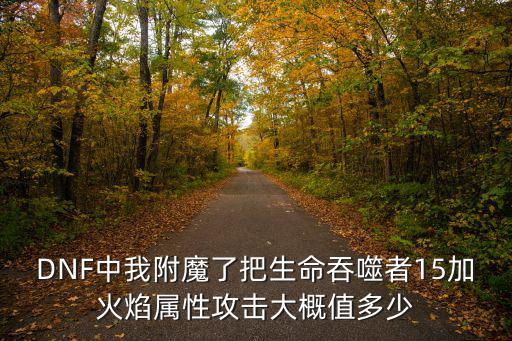DNF中我附魔了把生命吞噬者15加火焰属性攻击大概值多少