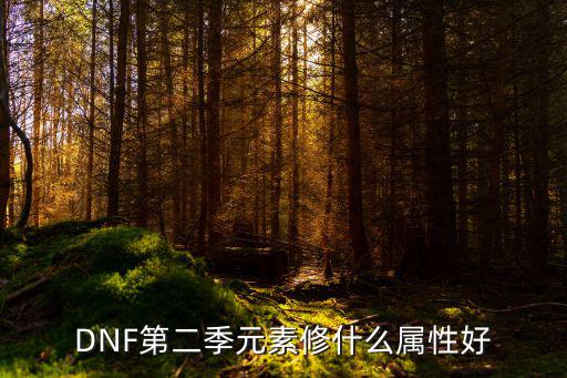 dnf元素什么属性伤害，DNF第二季元素修什么属性好