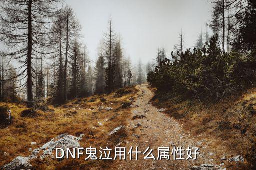 dnf鬼泣打造什么属性好，DNF鬼泣用什么属性好