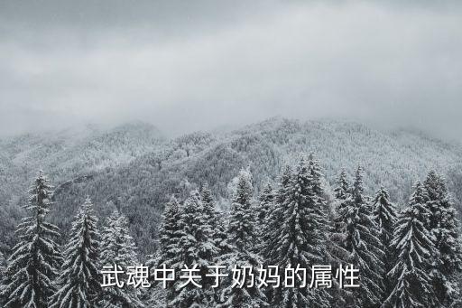 武魂中关于奶妈的属性