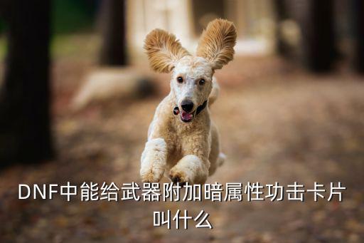 dnf暗属性卡叫什么，暗卡叫什么