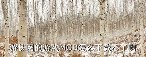 游侠网的游戏MOD怎么下载不了啊