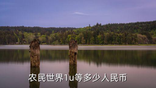 农民世界1u等多少人民币