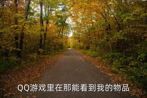 QQ游戏里在那能看到我的物品